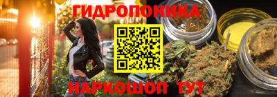 скорость Берёзовский