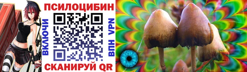 Галлюциногенные грибы Cubensis Десногорск
